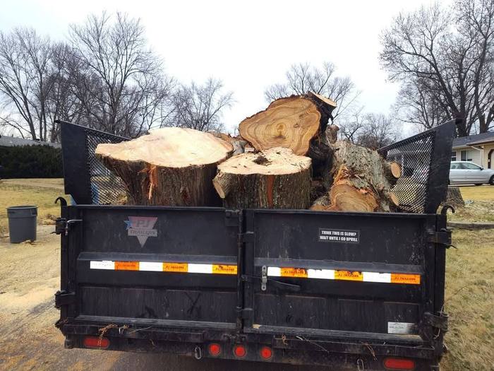 Trailer loaded with hauled wood rounds after a tree removal