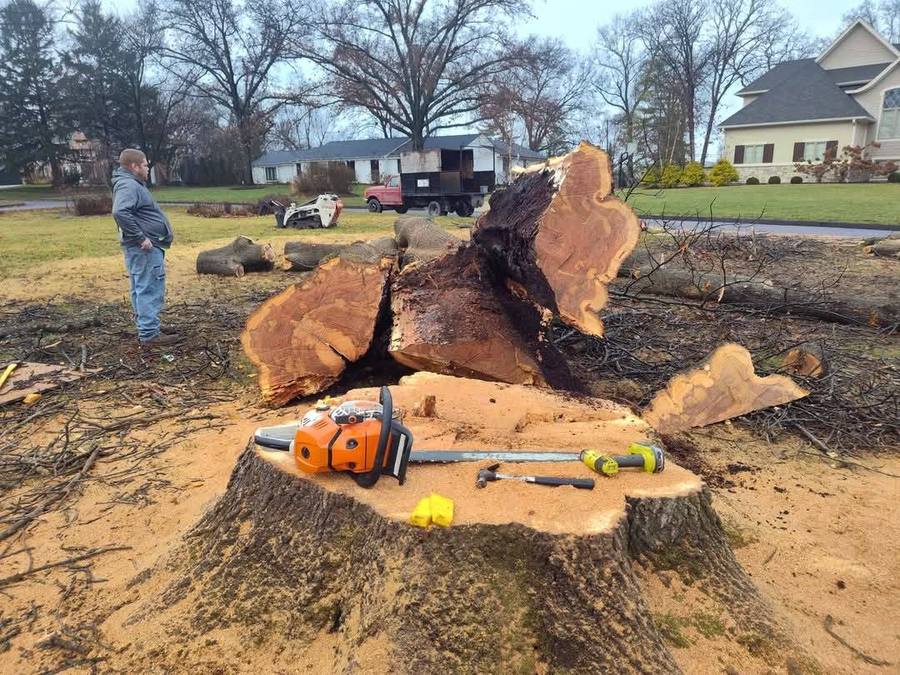 J.J's Tree Service crew working on a residential tree removal site