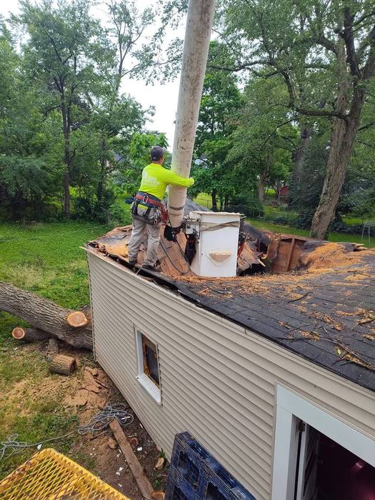 Arborist removing a tree that fell through a roof during a storm